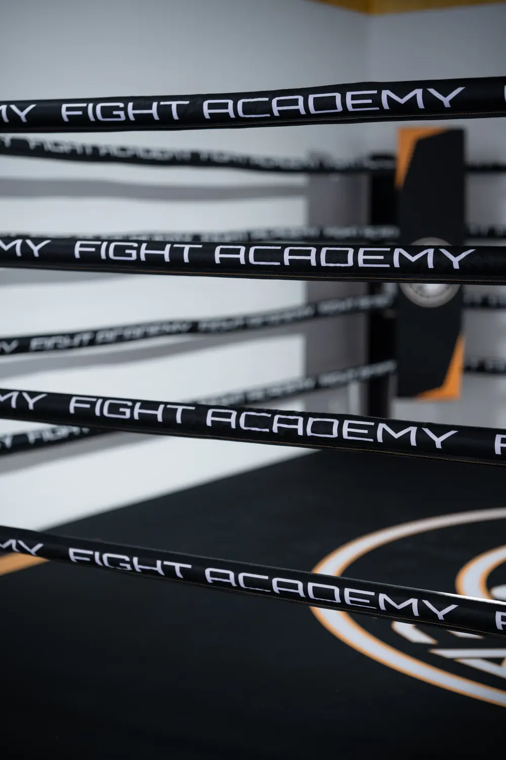 Kampfsportarten bei Fight Academy von Fight Academy Nürnberg
