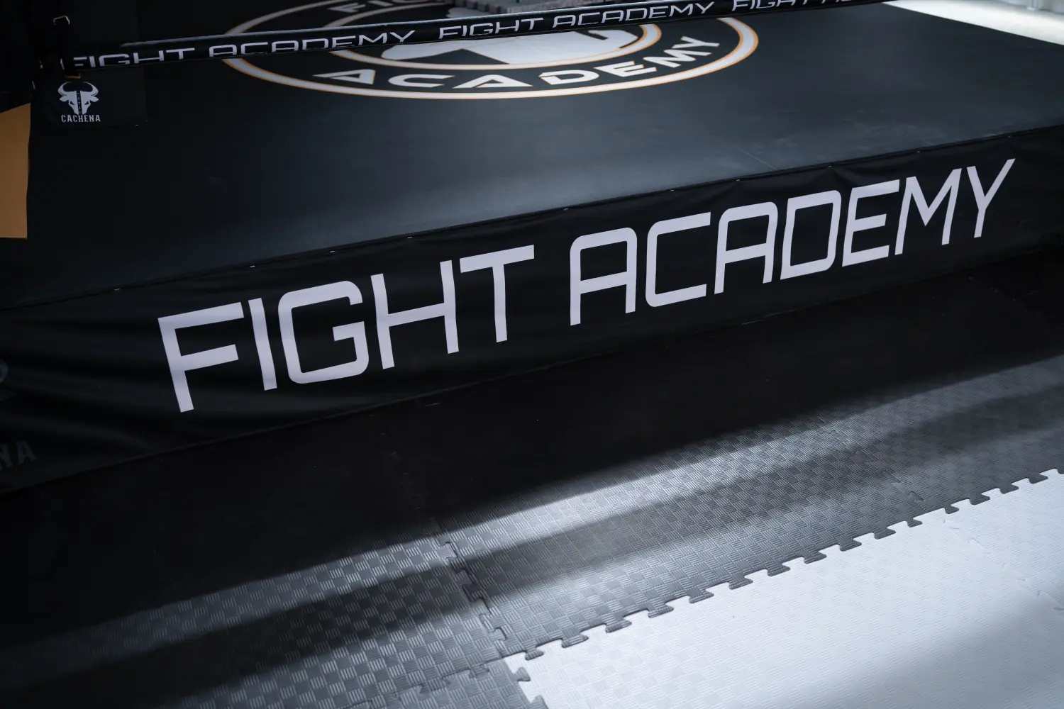 Kampfsportarten bei Fight Academy von Fight Academy Nürnberg