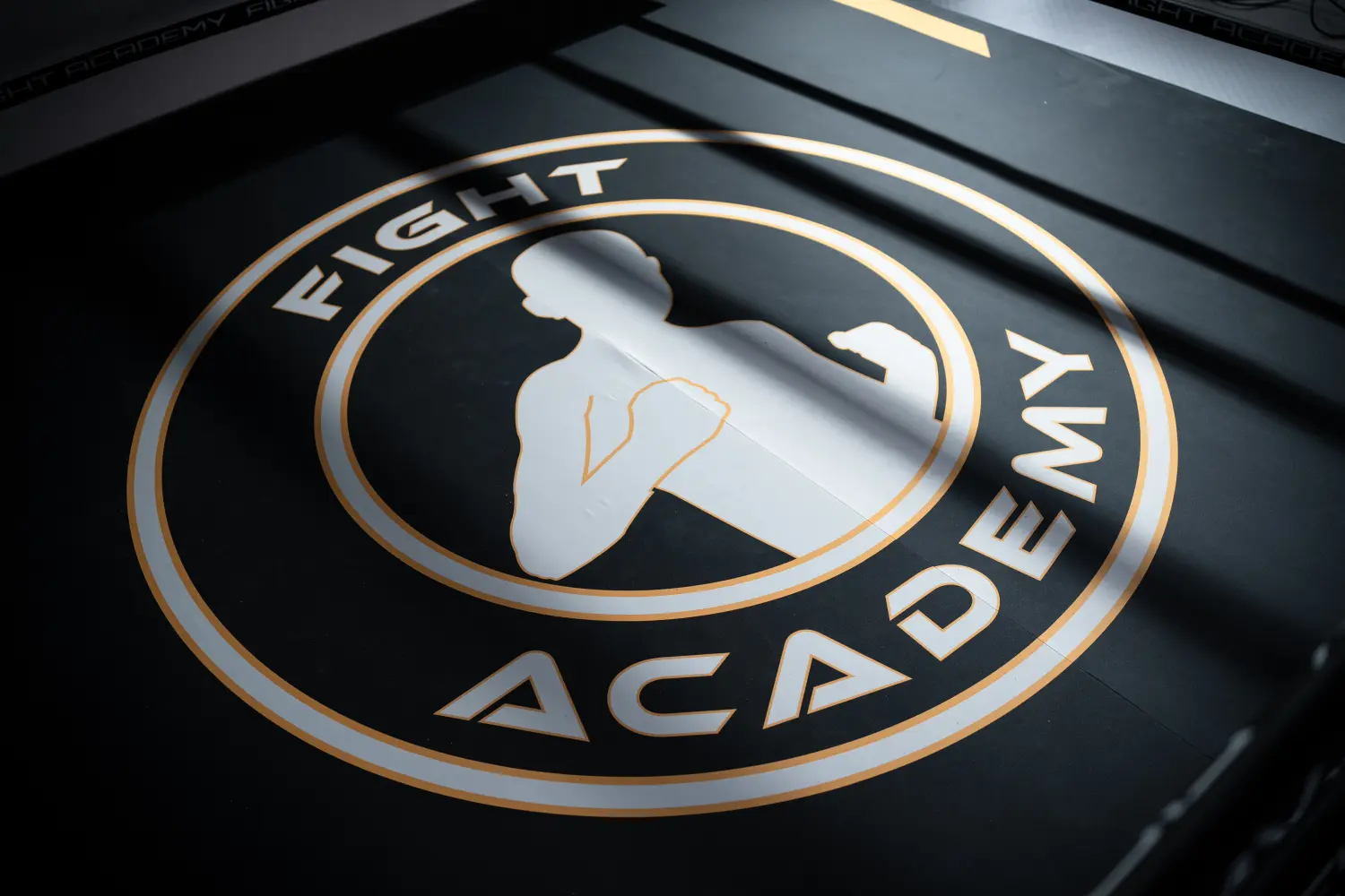 Ausbildung durch Fight Academy Nürnberg
