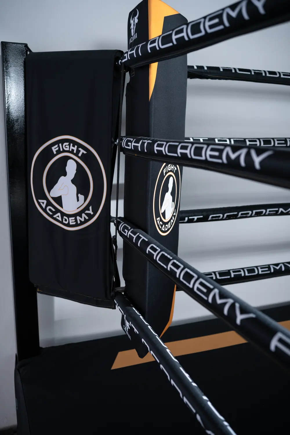 Ausbildung durch Fight Academy Nürnberg